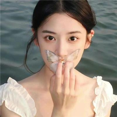 冰山上的来客2012
