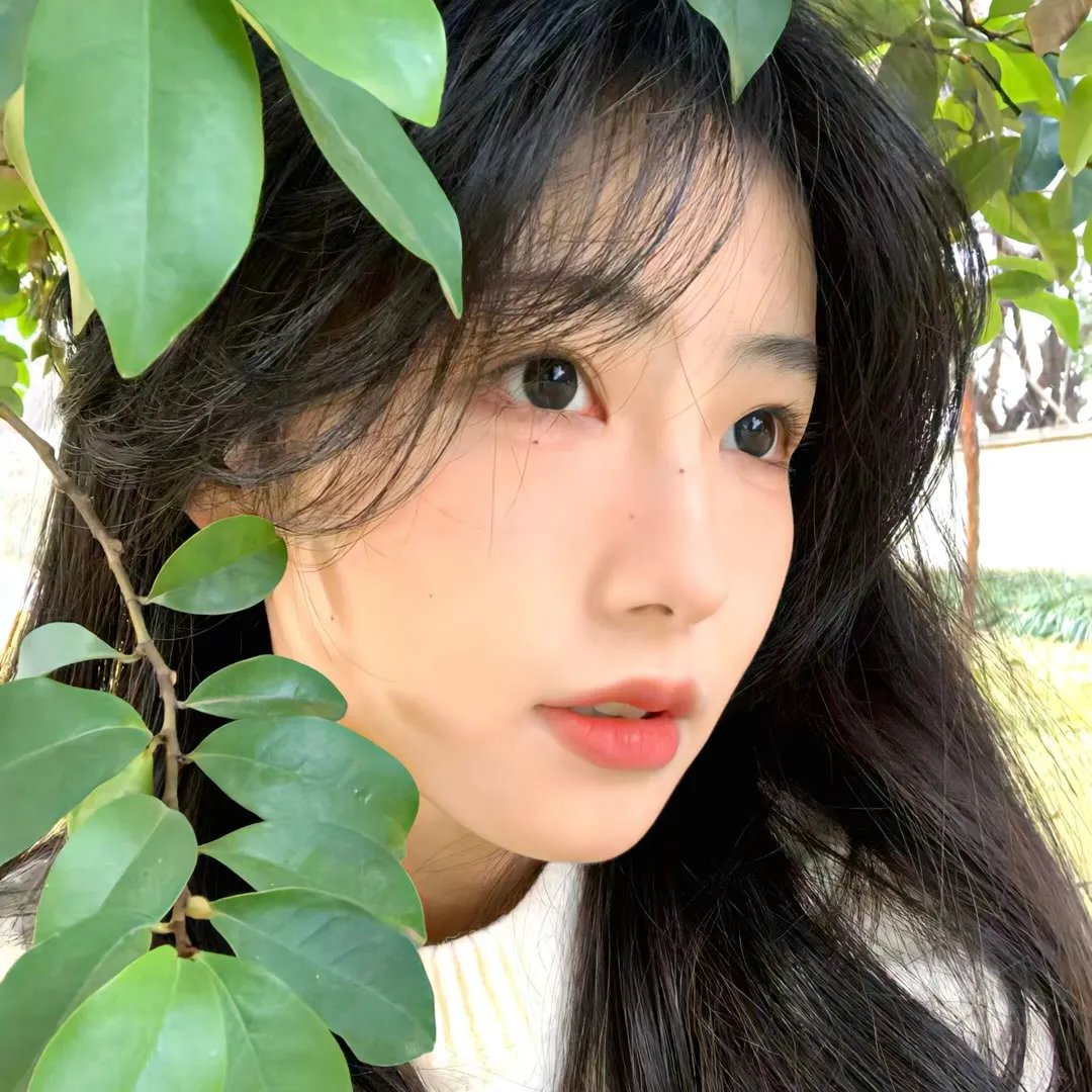 豚鼠：血肉之花
